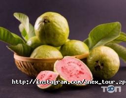 Anextour, турагентство фото