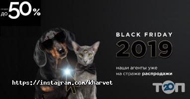 Kharvet відгуки фото