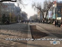 Курсы, тренинги Adiant Media Group фото
