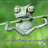 Твій Звіт відгуки фото