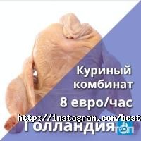 Курси іноземних мов Language Universe фото