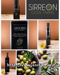 Арго Одеса фото