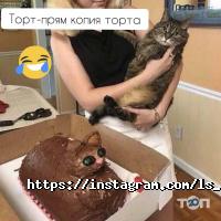 Baker`s House отзывы фото