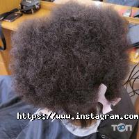 відгуки про Лотос фото