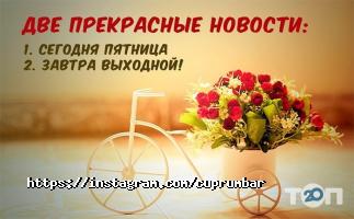 Cuprum Bar отзывы фото