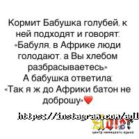 відгуки про Adler фото