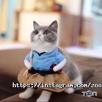 Чеширский Кот отзывы фото