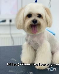 відгуки про Happy Animals фото