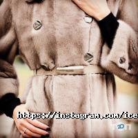 Icedora, мережа салонів фото