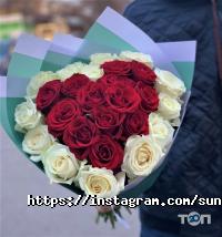 SunRose Дніпро фото
