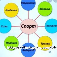 Bizon Астана фото