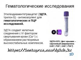 Diagnostic Group, ветклиника фото