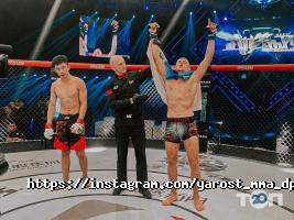 Спортивний Альянс відгуки фото