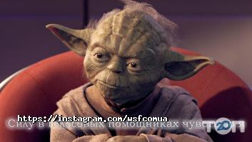 Web Solutions Factory Київ фото