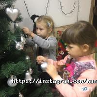 відгуки про Мандарин фото