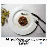 Зелений папуга Харків фото