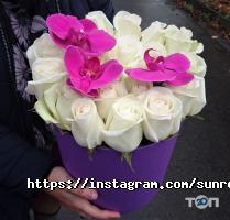 SunRose Дніпро фото