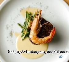 Cicada Wine&Dine Дніпро фото