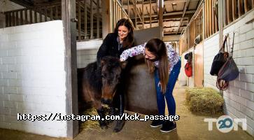 Пассаж, конный клуб фото