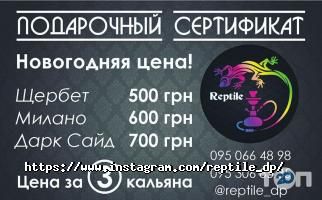 відгуки про Reptile Hookah Bar фото