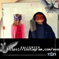 Avalon school, школа английского языка фото