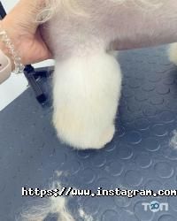 відгуки про Happy Animals фото