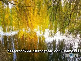 Фотограф Anatolii.photo.UP фото