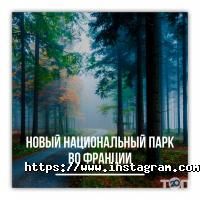 отзывы о Бизнес Визит фото