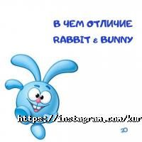 Super ABC, языковая школа фото