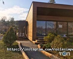 відгуки про Ліс фото