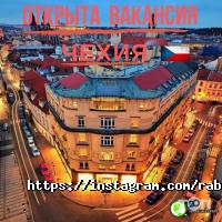 Кадровые агентства Вест Альянс фото