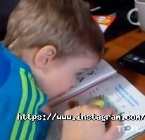 Play school відгуки фото