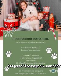 отзывы о Фотокухня фото