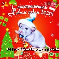 Ідалія Дніпро фото