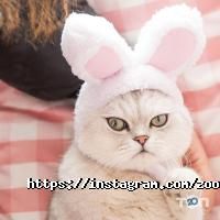 Зоомагазины и услуги для животных Чеширский Кот фото
