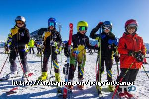 Penguin Team, спортивна школа фото