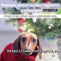 Абсолют, ветеринарний центр фото