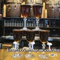 Dogz&Burgerz, кафе швидкого харчування фото