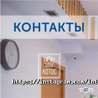 отзывы о Лотос фото