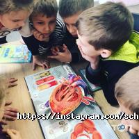 отзывы о DSA school фото