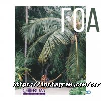 Корум Вояж Київ фото