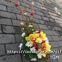 отзывы о Giftflo фото