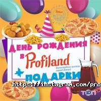 Игровые комплексы Profiland фото