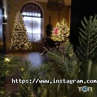 Maestro di colori Кривий Ріг фото