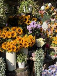 відгуки про kvitu lutsk fiori фото