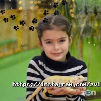 відгуки про Звірополіс фото