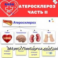 отзывы о Рада фото