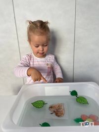компанія Smart Kids фото