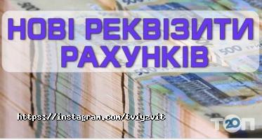 Твій Звіт, бухгалтерська компанія фото