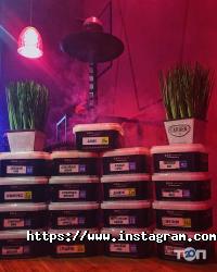 відгуки про S lounge фото